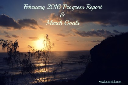 February 2016 Progress Report & March Goals