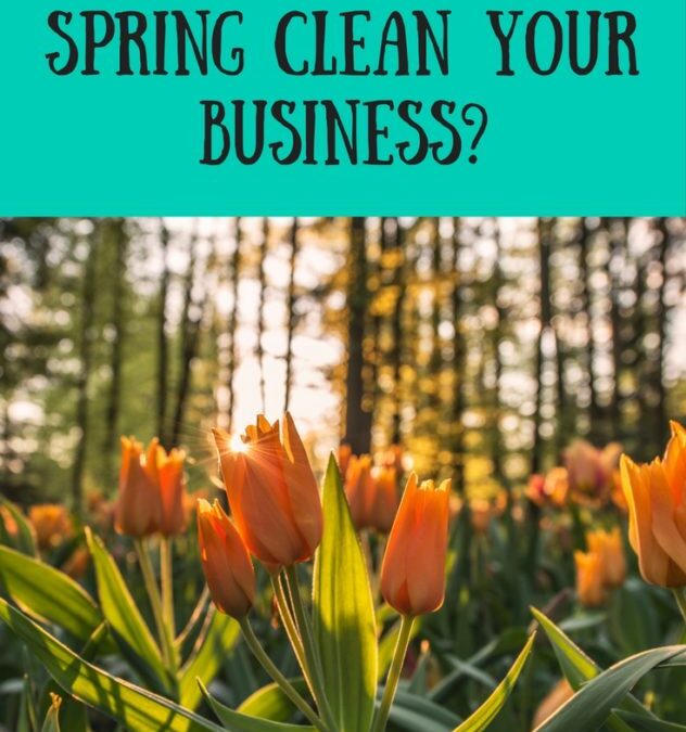 It’s Time For A Spring Clean Of Your Business, Life & Goals