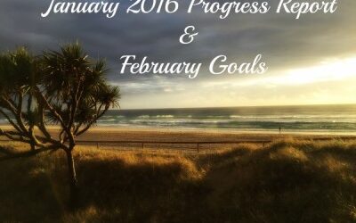 January 2016 Progress Report & February Goals