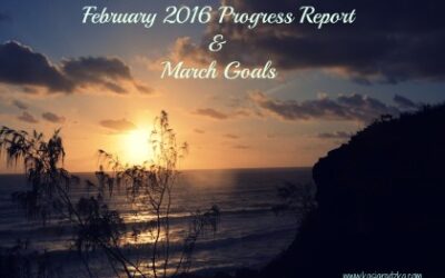 February 2016 Progress Report & March Goals